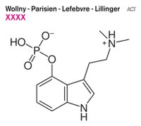 Wollny – Parisien – Lefebvre - Lillinger: XXXX