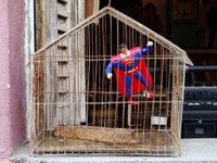 „Superman im Vogelkäfig – die politisch-unkorrekte Weltreise“ - Der Vorarlberger Verlag „unartproduktion“ begibt sich auf neue Wege