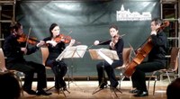 Vier, die sich im Streichquartettspiel bestens verstehen - Das Elias Alder Quartett begeisterte das Publikum
