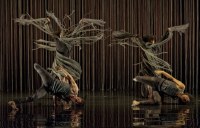 Breakdance trifft auf  taiwanesische Tanzkunst - stehende Ovationen für Mourad Merzoukis Compagnie Käfig  und „Yo Gee Ti“ beim „Bregenzer Frühling“