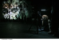 Das Ostschweizer HOUSE OF PAIN Physical Dance Theatre beschäftigt sich in „FEEDING CROCODILES“ mit dem Thema Angst