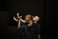 Die synchrone Kraft der Gruppe – Das St. Galler „Panorama Dance Theater“ schwärmt mit höchster Energie aus