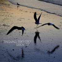 Tingvall Trio: „Birds“