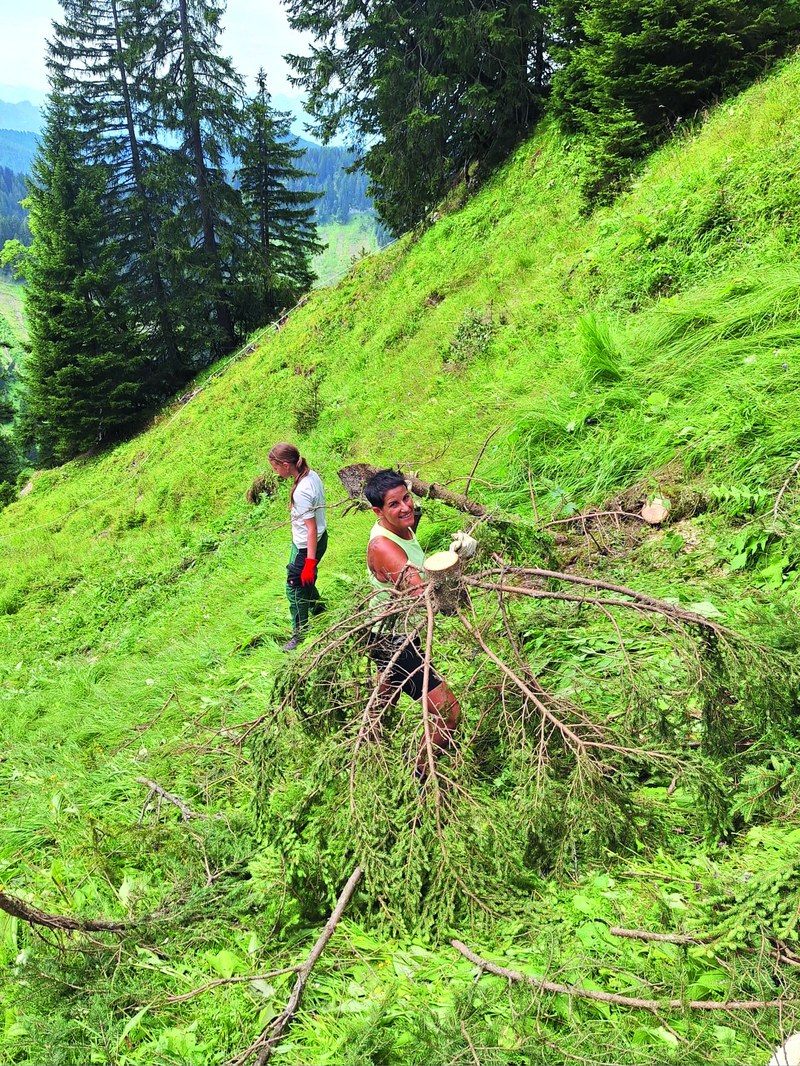 Durch das Projekt „Kultur-Lebens-Raum“ werden mit freiwilliger Hilfe die Weiden vor der Verbuschung bewahrt und damit ein wertvoller Beitrag zum Erhalt der Alpenwirtschaft geleistet. (Foto: Familie Hager)