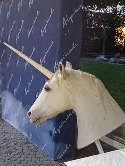 Das Einhorn - Maskottchen der Alpinale in Bludenz