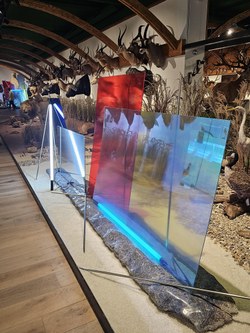 Arche Noah - Christoph Dahlhausen - Fragen zum Stein der Weisen, 2024.