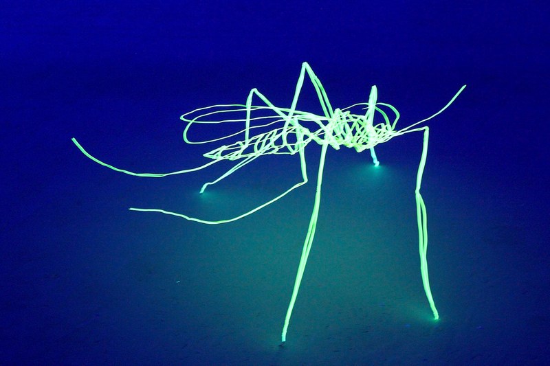 Stefan Waibel: "Ideal Nature Machine", Installationsdetail, 2014