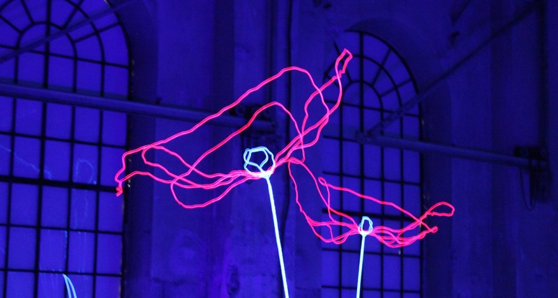 Stefan Waibel: "Ideal Nature Machine", Installationsdetail, 2014