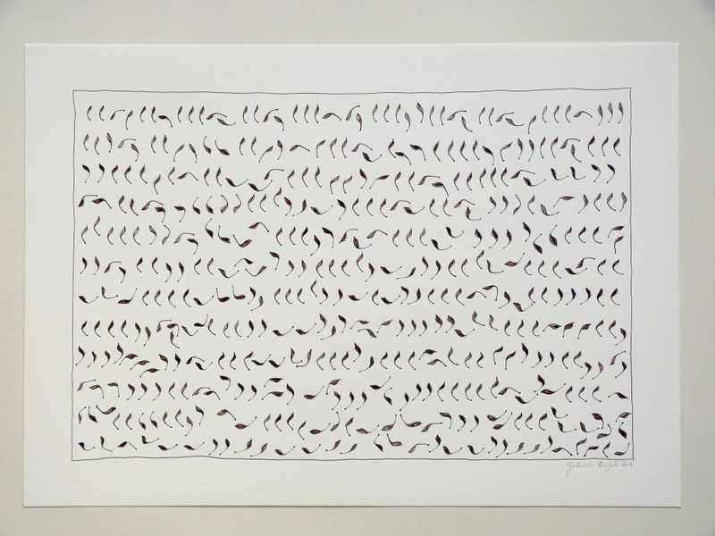 Diesen Samen der Pflanze "Geum urbanum" zeichnete Gabriele Bösch mit Spitzfeder, Eisengallustinte und Nussbaumtinte. 42x30 cm. © Gabriele Bösch