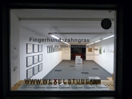 Die Ausstellung "Fingerhundszahngras und die Stille dazwischen" in der Feldkircher Wexelstube ist auch Teil der POTENTIALe. © Gabriele Bösch