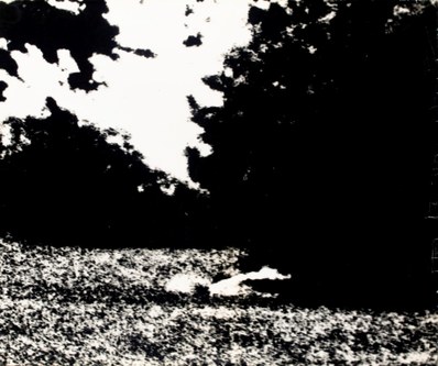 Don McCullin, Thomas’ „blow-ups“ aus dem Park, 1966 Silbergelatine-Abzug, 51 x 60.8 cm Courtesy Philippe Garner © Neue Visionen Filmverleih GmbH/Turner Entertainment Co. - A Warner Bros Entertainment Company. All rights reserved.