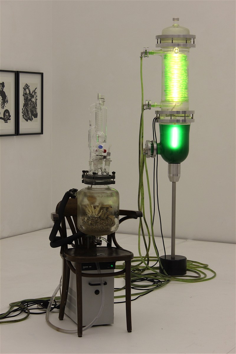 Thomas Feuerstein: SEMMEL, 2016 (Glas, Aluminium, Schläuche, Kabel, Pumpe, LED, Wasser, Algen)