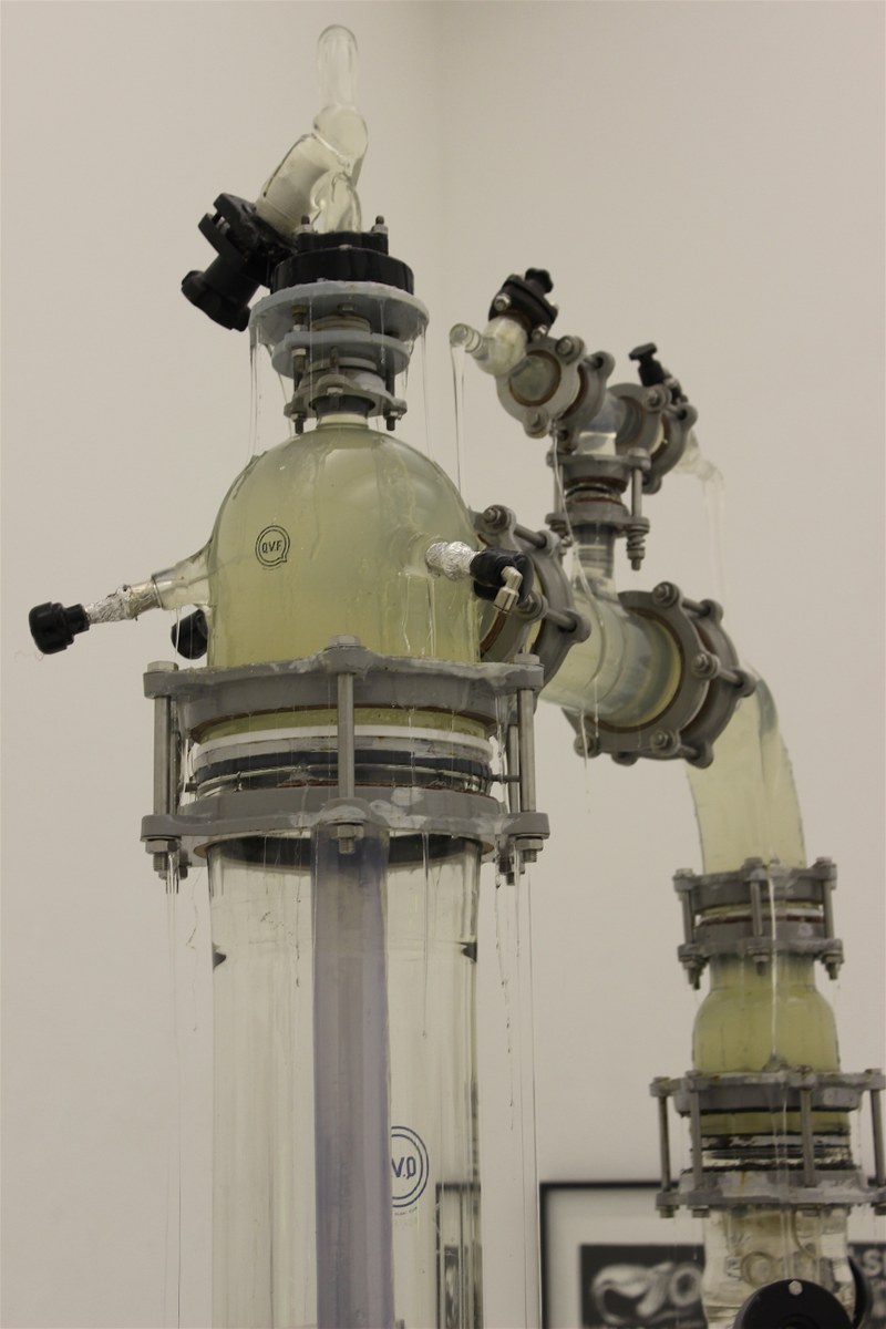 Thomas Feuerstein: Psilosphaere, 2016 (Detail)