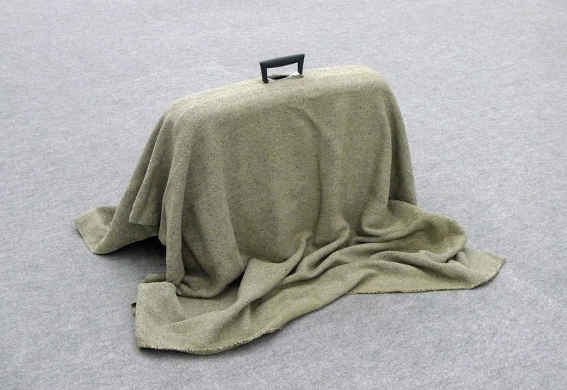 Anna Kolodziejska: "o.T." (KleinerElefant), 2008