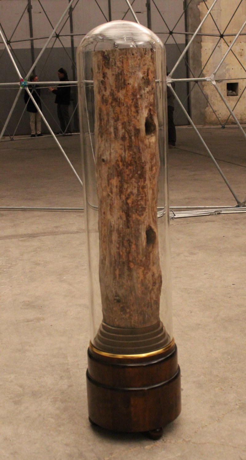 Tue Greenfort: "Conservation" (2011)