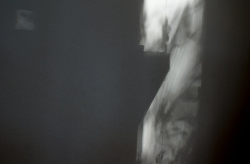 Shad : torso, 70 x100 cm, Tintenstrahldruck / 2015
