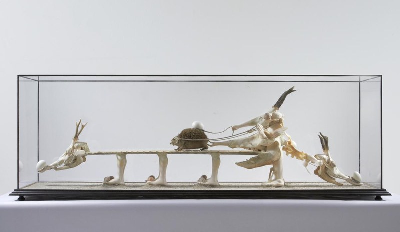 Jan Švankmajer: Objektkasten (Fotos: Kunstraum Dornbirn)