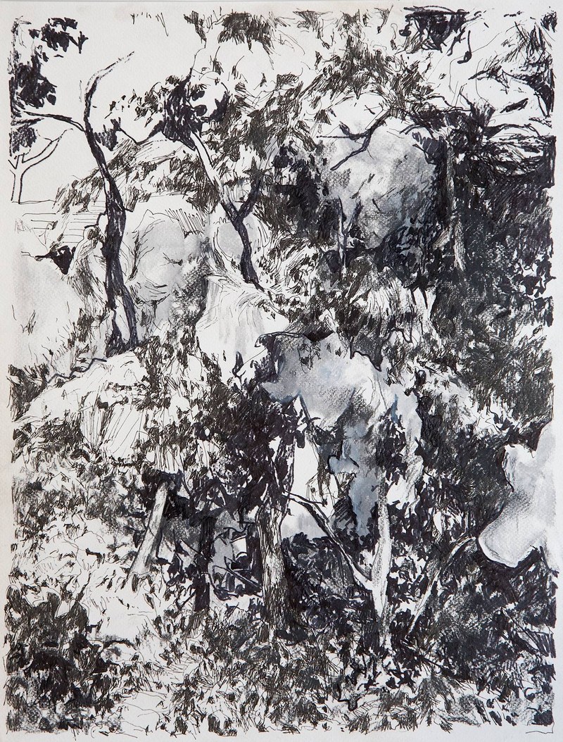 Lorenz Helfer: Zeichnung aus dem Zyklus "A Floresta"