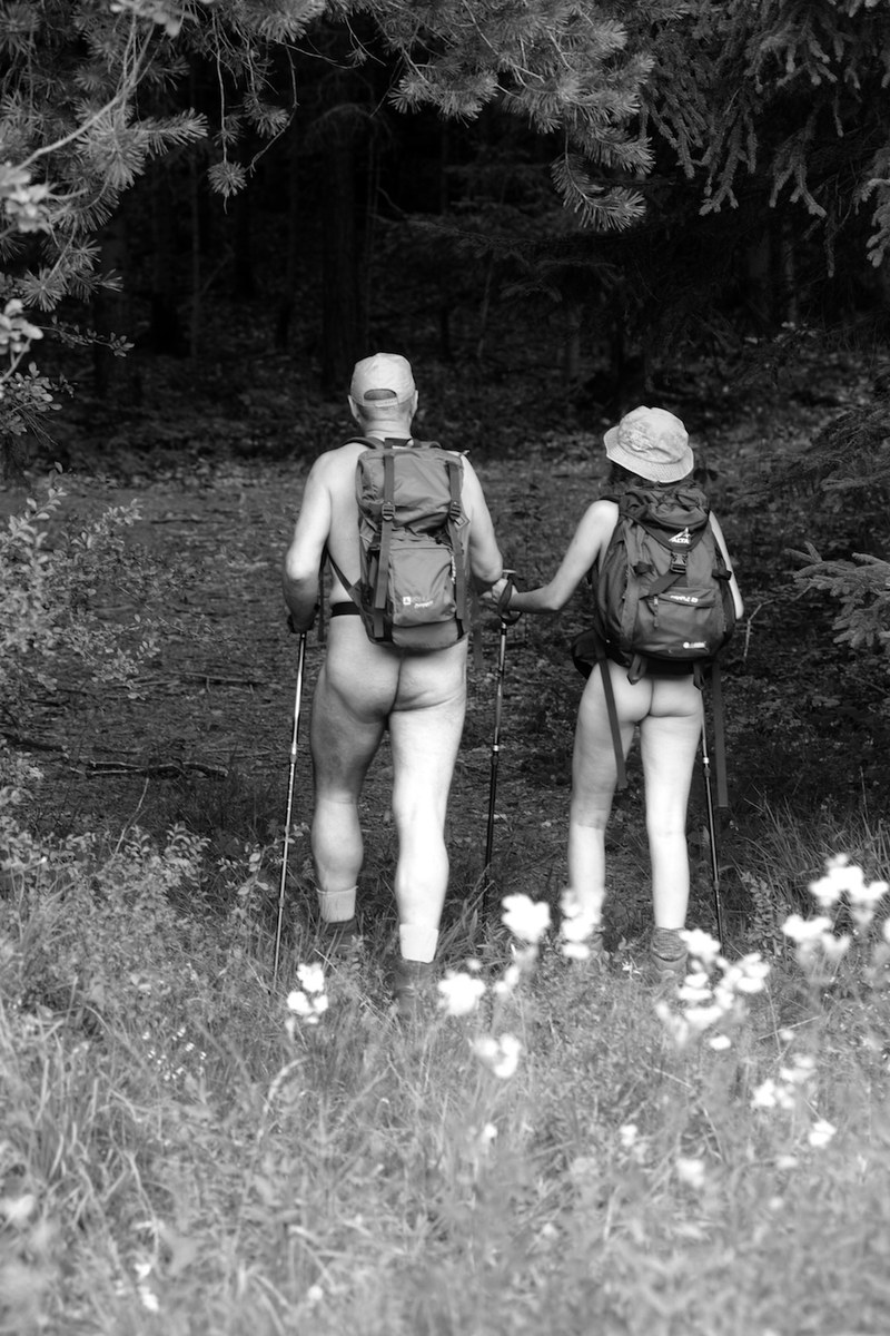 Walter Nikolaus: Spaziergänger im Göfner Wald