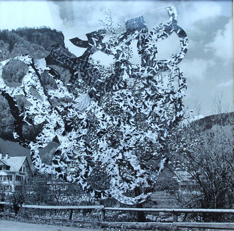 Michael Mittermayer: Serie Lara Aufsberg, 2015
