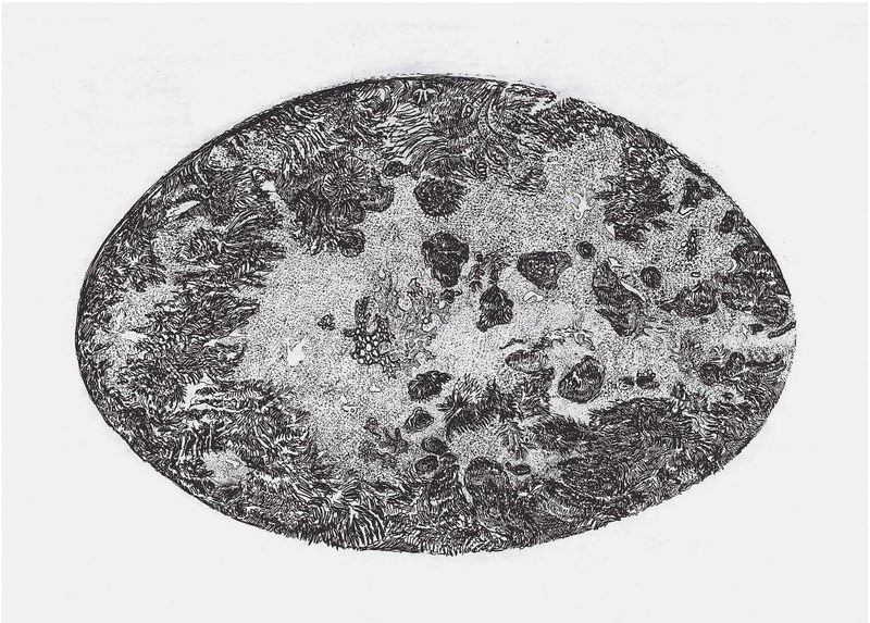 Armin Pramstaller, Kosmos, 2002