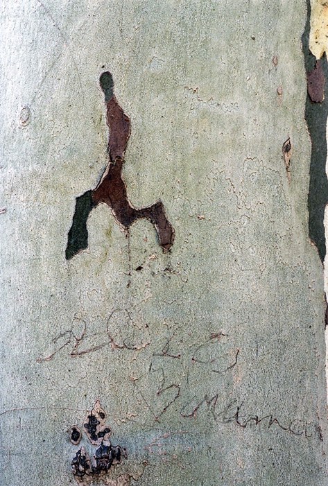 Nikolaus Walter, Monlucon