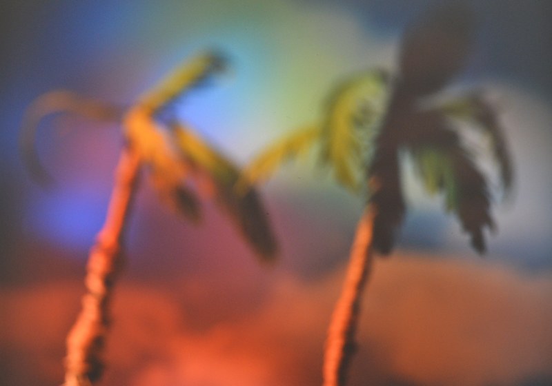 David Murray: Aus der Serie „ Lost in Paradise“ 2010 , 90cm x 60cm, Kodak Endura Papier, Polystyrol Platte, Ed 1/6