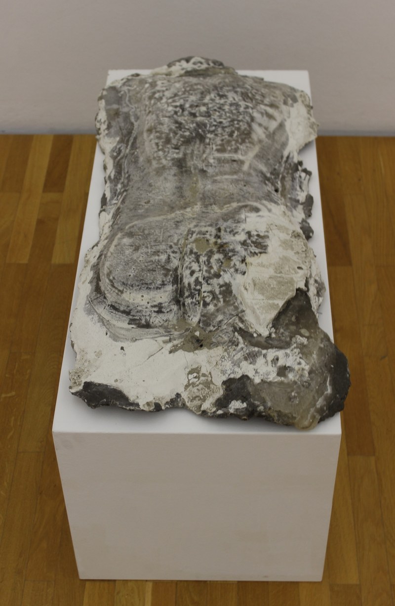 Alfred Graf Alfred: Sedimentcorpus Donau (Rückentorso), 2015. Sand, Steine, Gips, Wachs