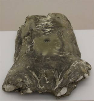 Alfred Graf: Sedimentcorpus Donau (Torso), 2015. Sand, Steine, Wachs (Fotos: Karlheinz Pichler)