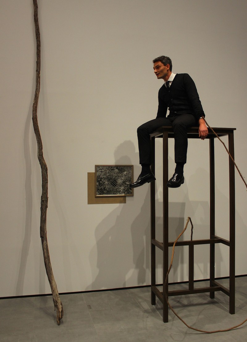 Alfredo Barsuglia: "Fallbeispiel". Installation, 2015