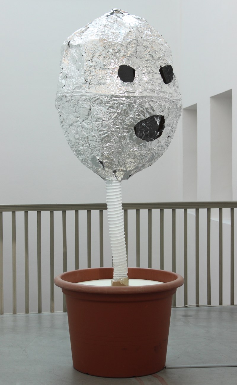 Lorenzo Scotto di Luzio: Hello Flower, 2017