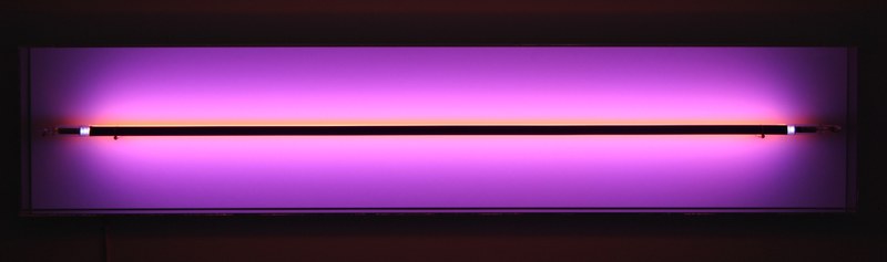 Christian Herdeg: Large Salmon, I-III, 2012 - Neon, Metallröhren, Acryl auf Leinwand
