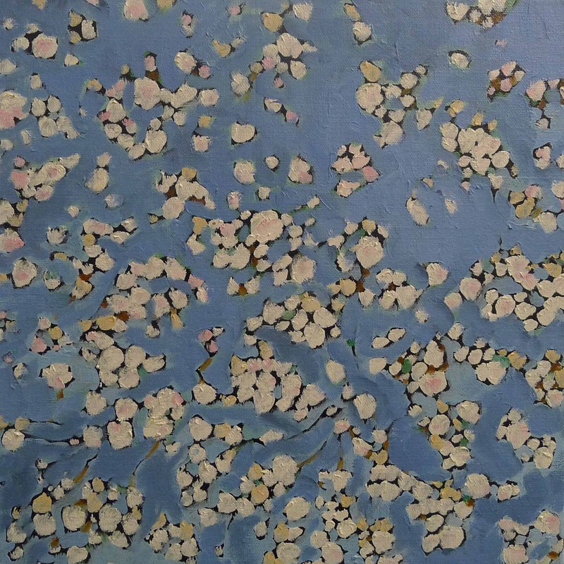 Josef Felix Müller: Blüten, 2007, Öl auf Leinwand