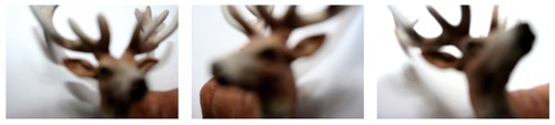 Rainer Schneider: Deerhunter - Triptychon. Fotoplot auf Alu