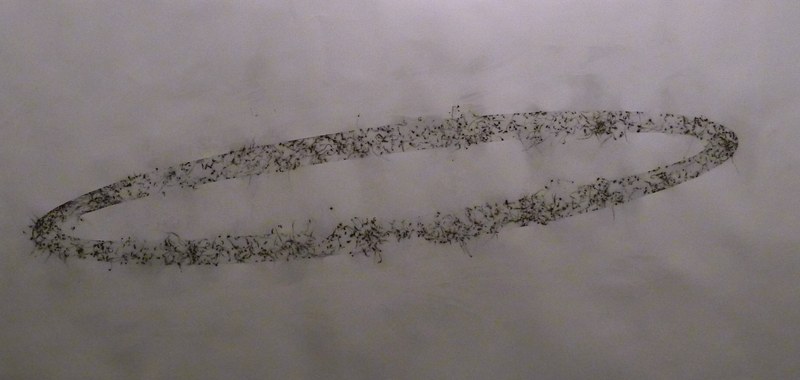 Arno Egger: „Sombrero Galaxy", Schwarzpulver auf Büttenpapier, 300x150 cm, 2012