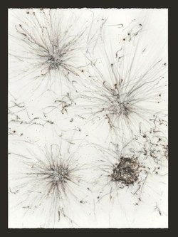 Arno Egger: „Universe", aus der Serie „Keysha", Schwarzpulver auf Büttenpapier, 80x110 cm, 2012