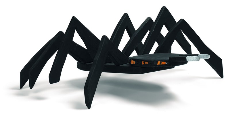 WolfGeorg, Schwarze gefährliche Wolfsspinne, 2015