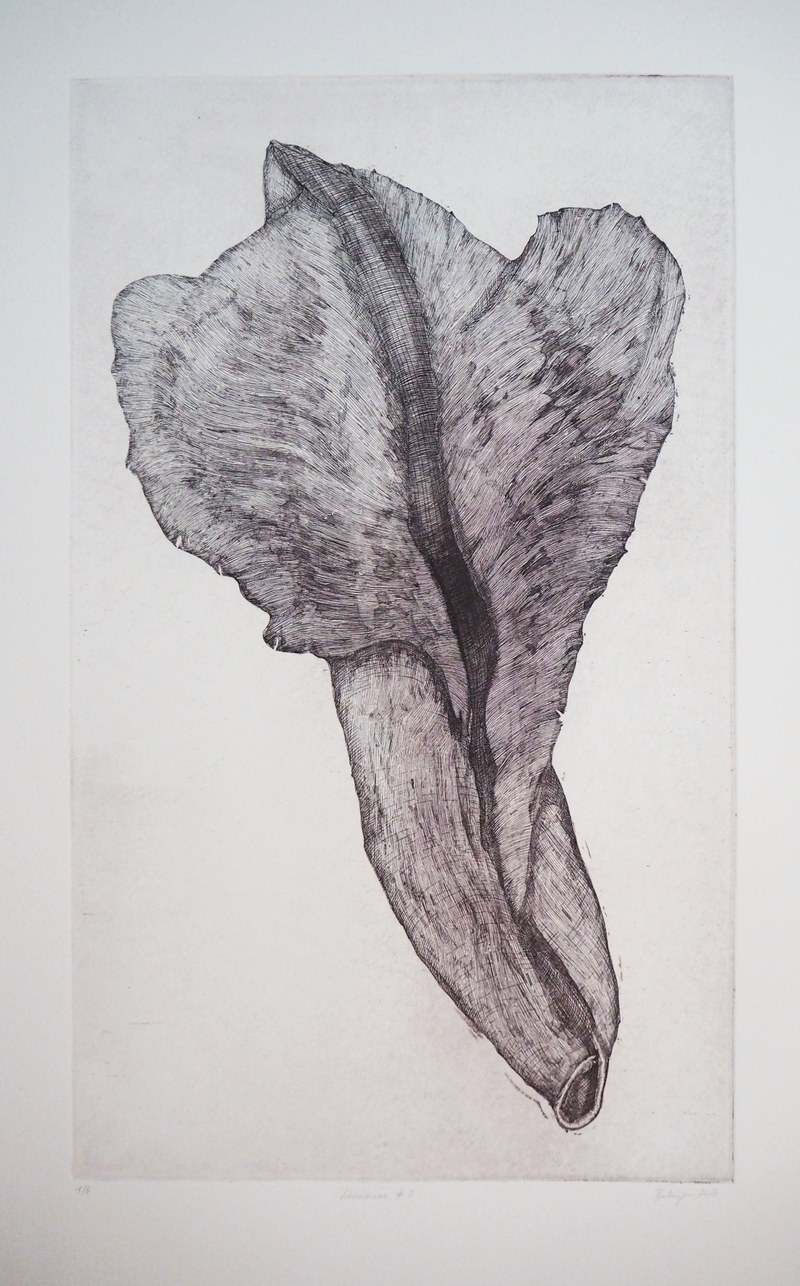 Melanie Berlinger, Lamiaceai #3 (Lippenblütler), Aquatinta und Strichätzung auf Tiefdruckkarton, 2016