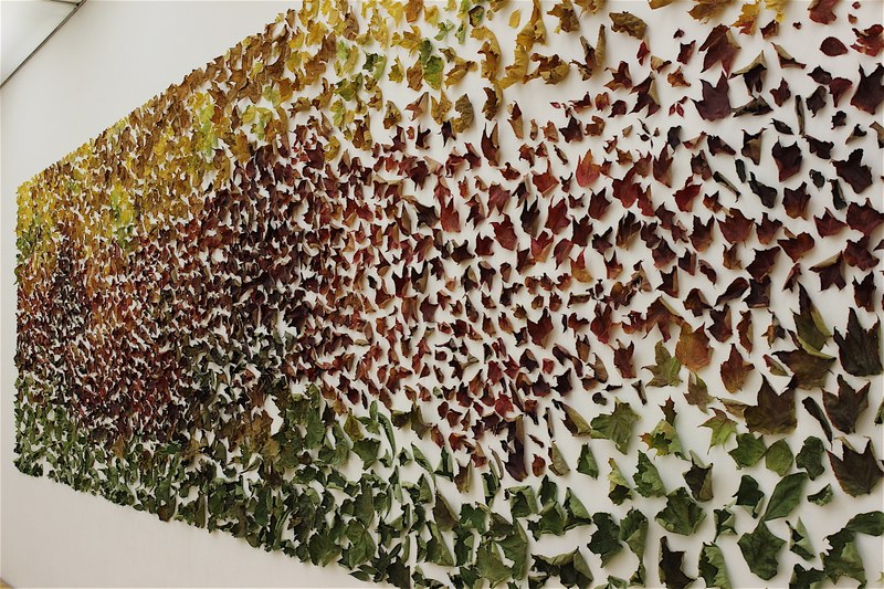 Kirsten Helfrich: Wandinstallation mit Herbstlaub (Ausschnitt)