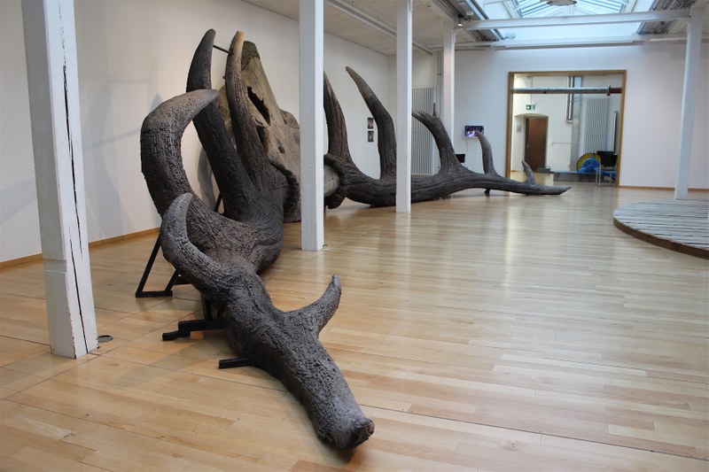Nikolaus Büchel: Monumentales Hirschgeweih für den Freischütz (Fotos: Karlheinz Pichler)