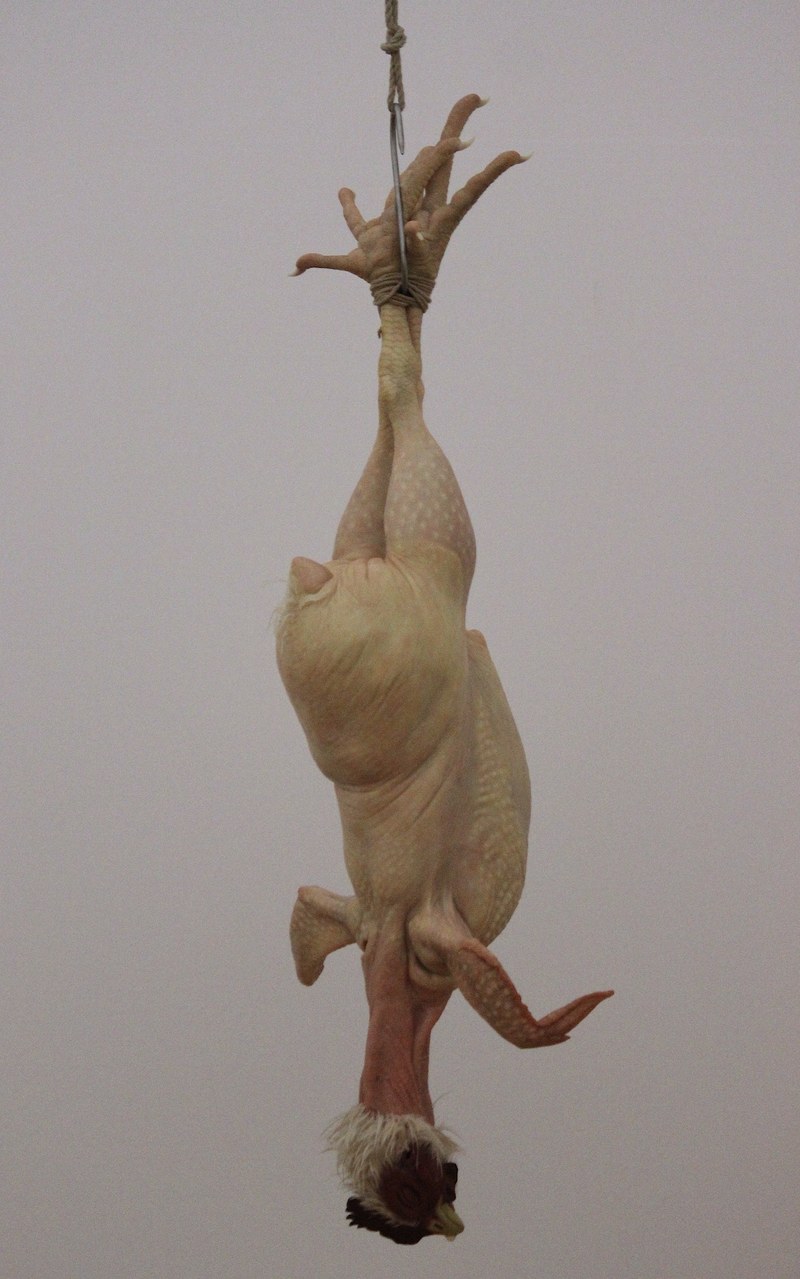 Ron Mueck: Still Life, 2009