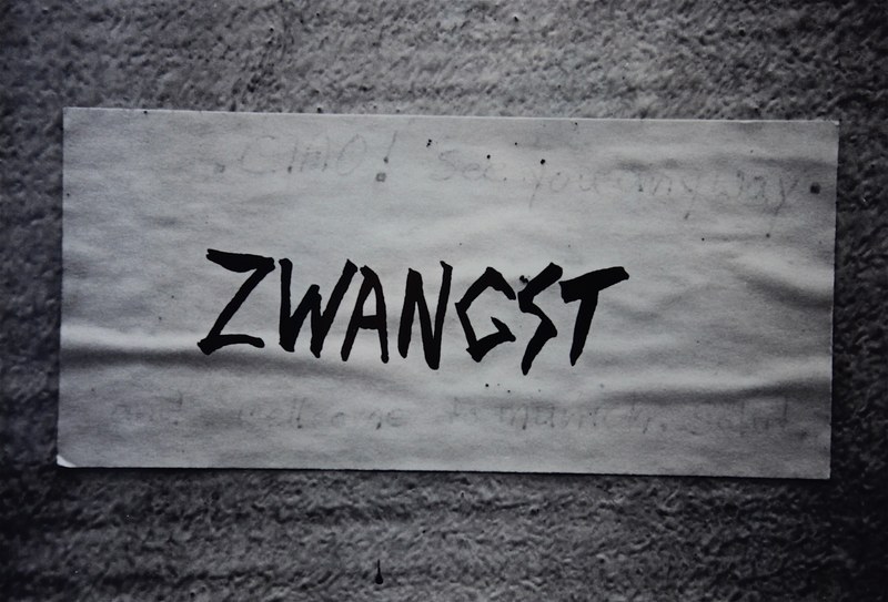 Nikolaus Walter: Zwangst, Basel 1986