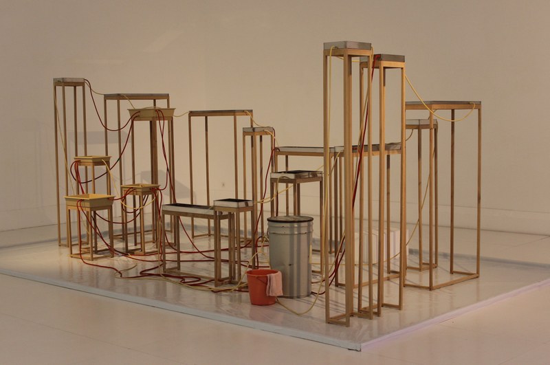 Barbara Brülisauer: "It is sometimes said that revolutions are not made by rosewater", 2014