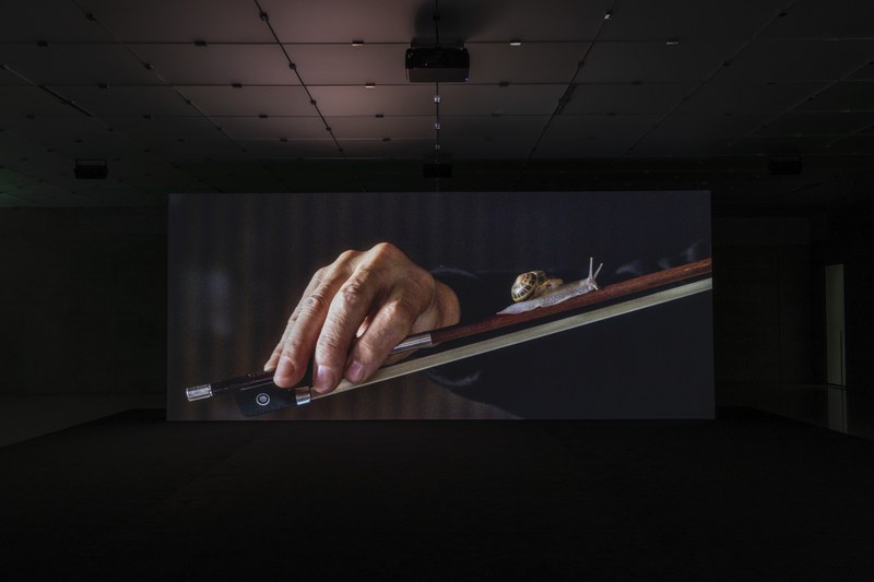 Anri Sala Anri: "If and Only If", 2018, Foto: Markus Tretter, © Kunsthaus Bregenz