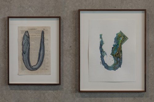 Anri Sala: "Untitled (Congrus authoris/California)", 2019, Foto: Markus Tretter, © Sala, Bildrecht Wien, Kunsthaus Bregenz
