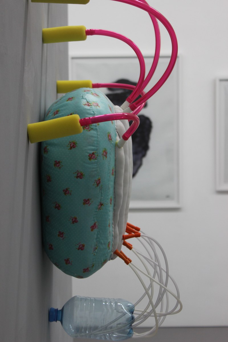 Carmen Pfanner: Kleine Installation, Detail, 2014