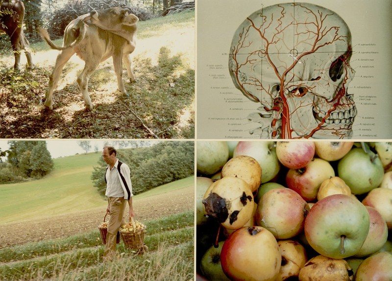 Heinz Cibulka: Archivnummer 332 (aus dem Zyklu "Fühlt-Most) 1981 (Fotos: Albertina Wien)