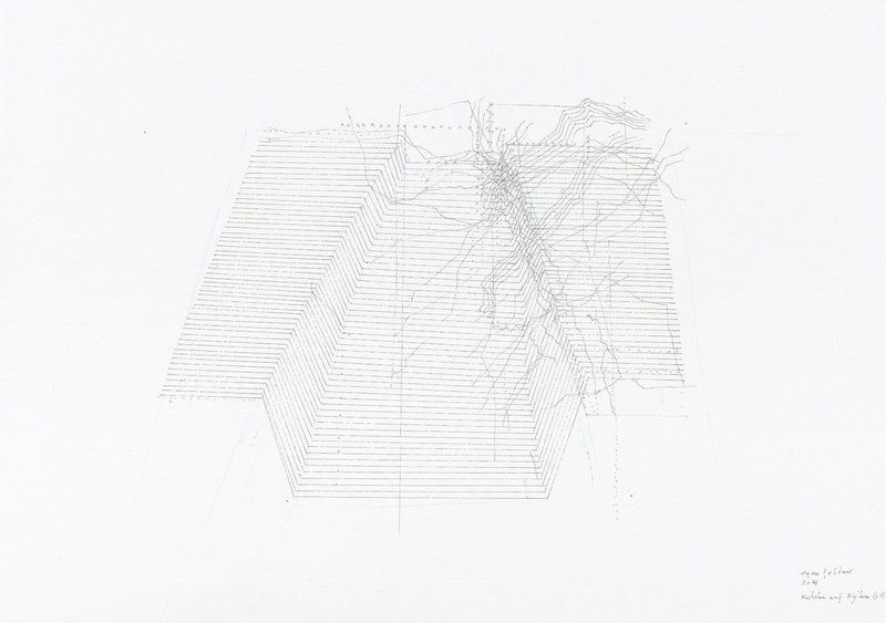 Egon Goldner: Wachstum auf Rigidem, 2. F.,  2014, Tusche u. Buntstift auf Papier (Fotos: VM)