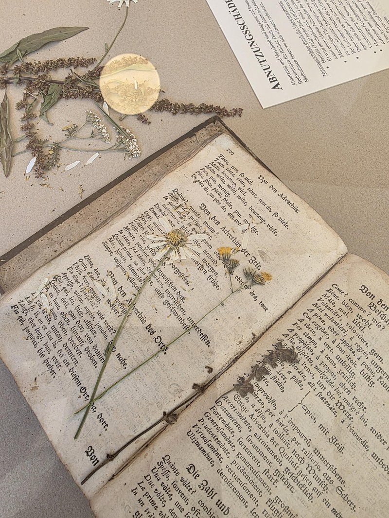 ... wie etwa dem Pressen von Blumen zwischen den Seiten. (Foto: Vorarlberger Landesbibliothek)