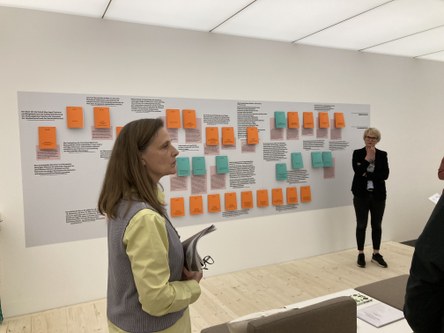 Christiane Mayer-Stoll vor der Chronologie der Liechtensteiner Gesetze zu den Pflanzen